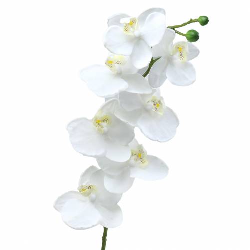 gjenstander Kunstig orkidé kunstig blomst hvit Ø6,5-8cm 77cm
