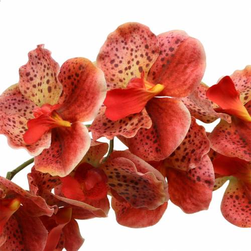 gjenstander Kunstig orkide Phaelaenopsis Rød, oransje H81cm