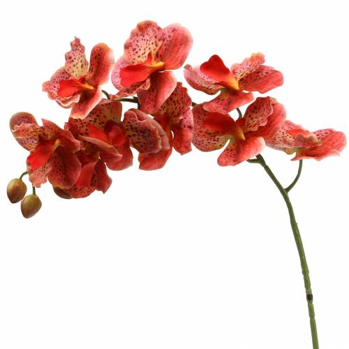 Floristik24 Kunstig orkide Phaelaenopsis Rød, oransje H81cm
