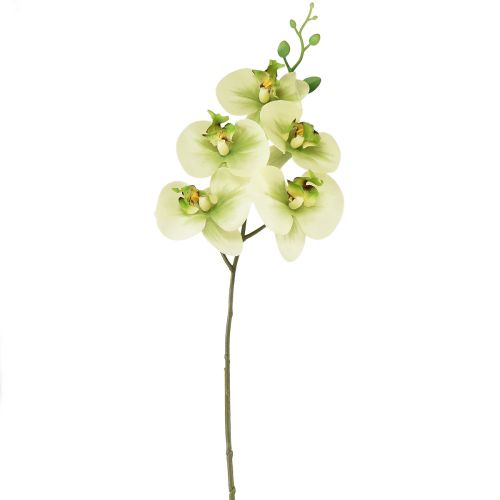 Floristik24 Orkidé Kunstig Gul Grønn Phalaenopsis 85cm