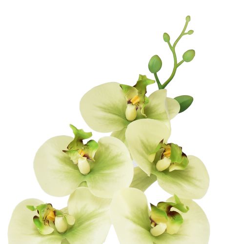gjenstander Orkidé Kunstig Gul Grønn Phalaenopsis 85cm