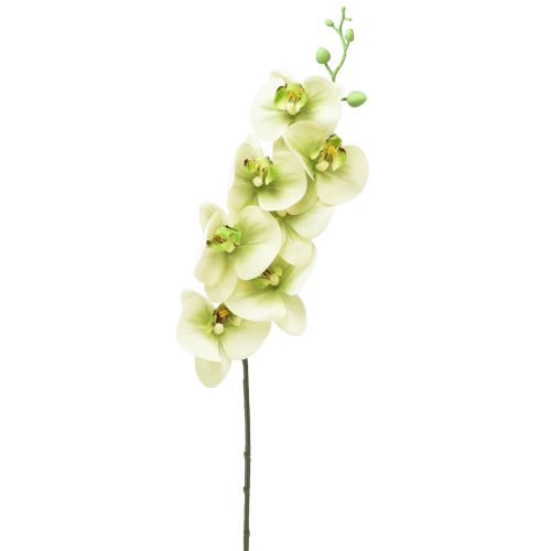 Orkidé Kunstig Gul Grønn Phalaenopsis L83cm