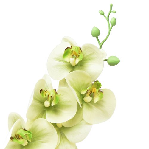 gjenstander Orkidé Kunstig Gul Grønn Phalaenopsis L83cm
