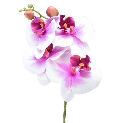 Orchid Artificial Phalaenopsis 4 Blomster Hvit Rosa 72cm