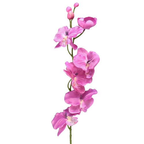 gjenstander Orchid Phalaenopsis kunstig 6 blomster lilla 70cm