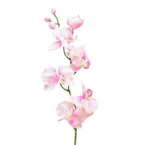 Floristik24 Orkidé Phalaenopsis kunstig 6 blomster rosa 70cm