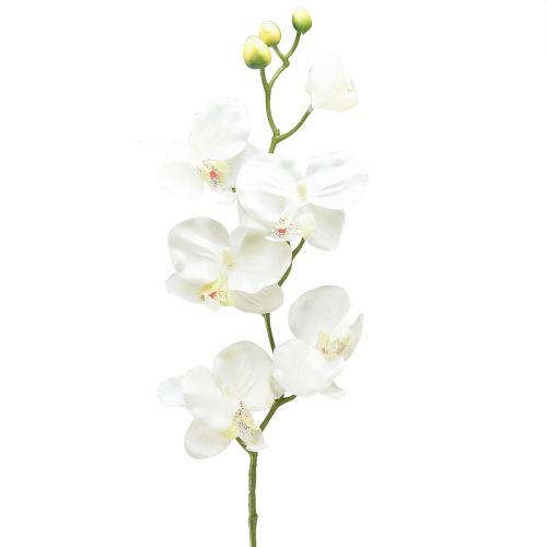 Orchid Phalaenopsis kunstig 6 blomster hvit krem 70cm