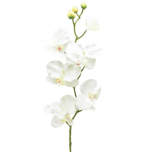 gjenstander Orchid Phalaenopsis kunstig 6 blomster hvit krem 70cm