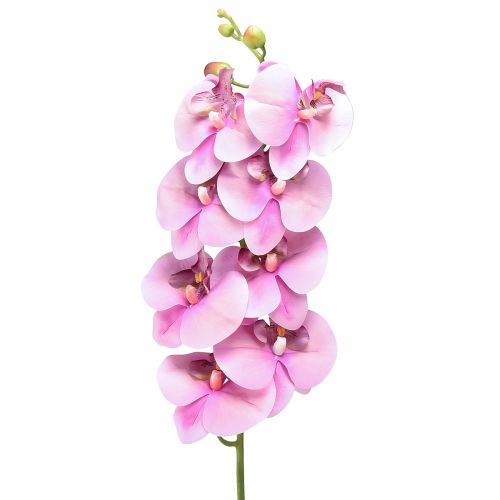 Orkidé Phalaenopsis kunstig 8 blomster rosa 104cm