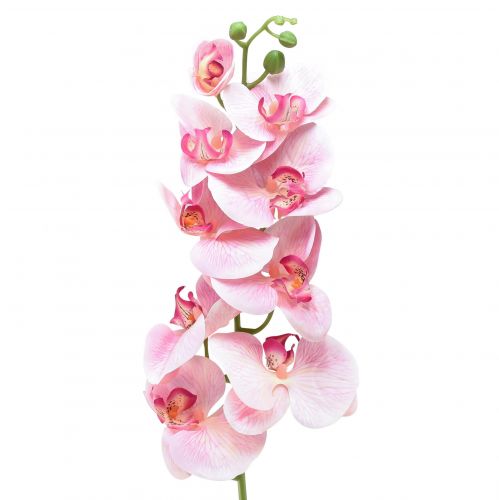 Floristik24 Orchid Phalaenopsis kunstig 9 blomster rosa hvit 96cm