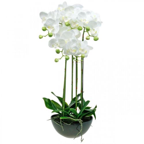 Floristik24 Kunstige orkideer i potte hvit kunstig plante 63cm
