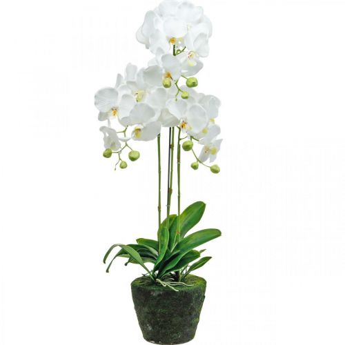 Floristik24 Kunstige orkideer til potten hvit 80cm