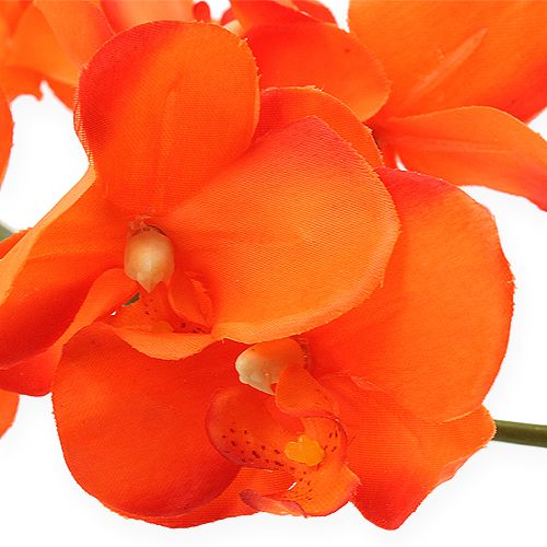 gjenstander Orkidégren oransje 61cm