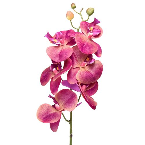 Floristik24 Kunstig orkide Phalaenopsis Orchid Fuchsia 78cm