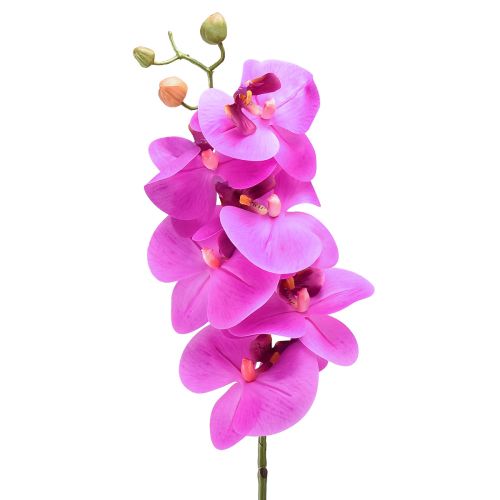 Kunstig orkide Phalaenopsis Orchid Rosa 78cm