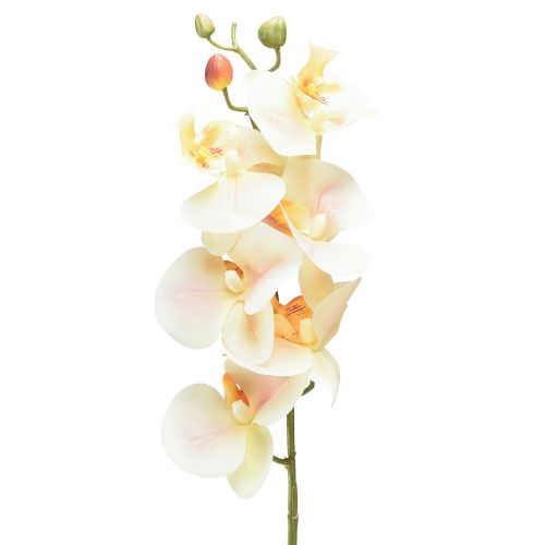 gjenstander Artificial Orchid Cream Orange Phalaenopsis 78cm