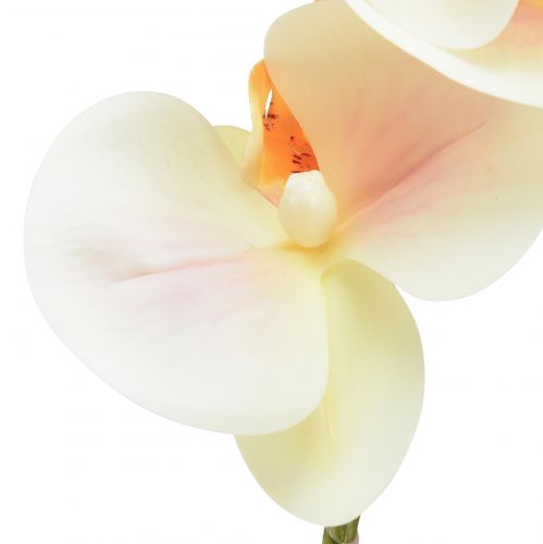 gjenstander Artificial Orchid Cream Orange Phalaenopsis 78cm