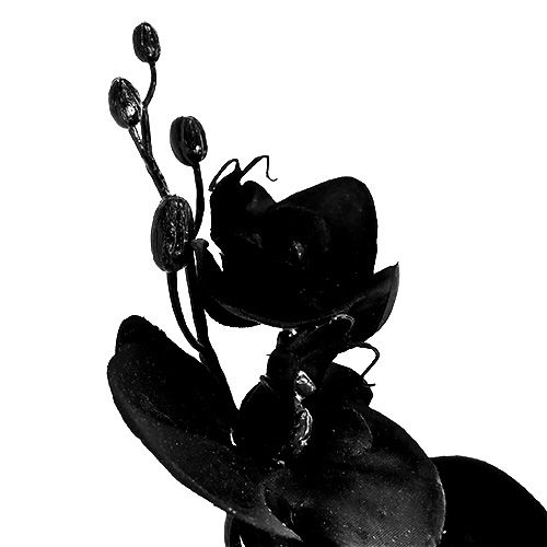 gjenstander Orkide svart L80cm