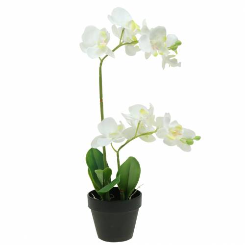 Floristik24 Orkideer hvite i en gryte kunstig plante H35cm