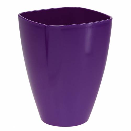Orkidépotte, blank, Ø12,5 cm, fiolett kjøpe | Floristik24.no