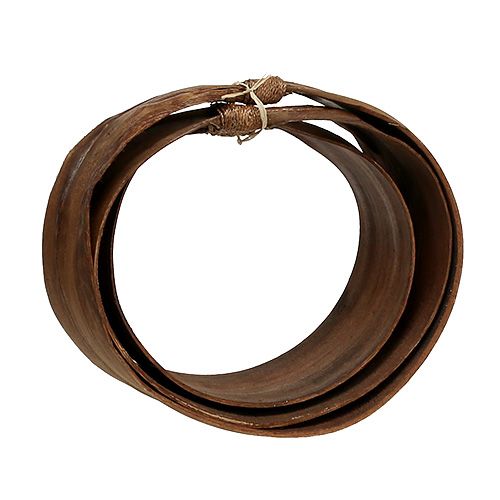 Floristik24 Palmesett natur 21cm -26cm