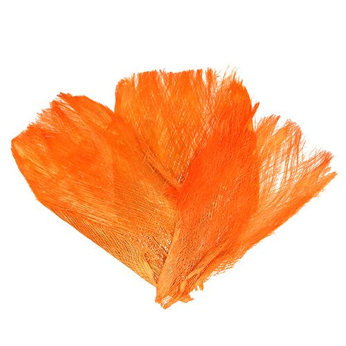 Floristik24 Palme fiber pastell lys oransje 400gr