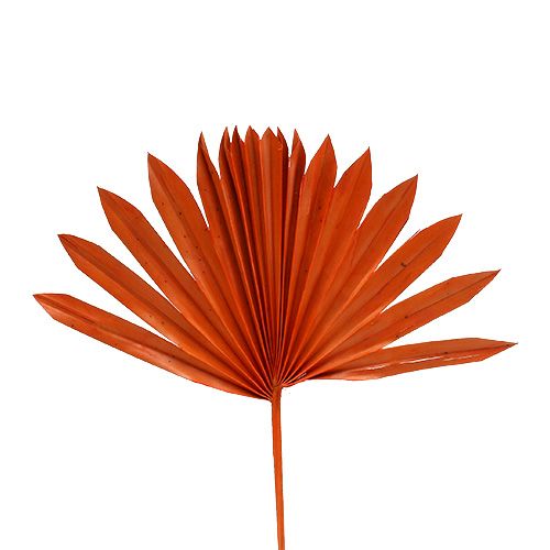 gjenstander Palmspear Sun mini Orange 50p