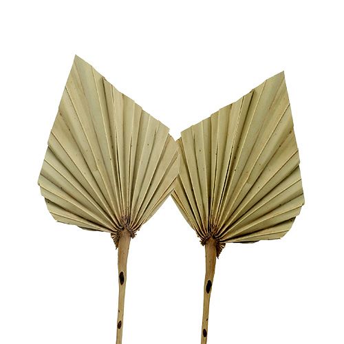 gjenstander Palmespyd mini naturlig 100 stk