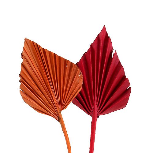 Palmspear mini sort. Rød/oransje 100 stk