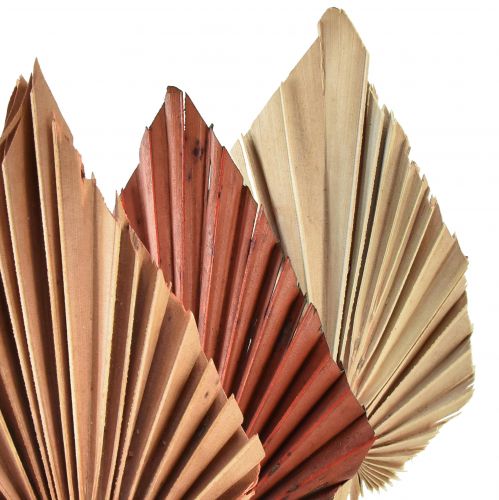 gjenstander Palmespyd sortert Marokko 30 stk