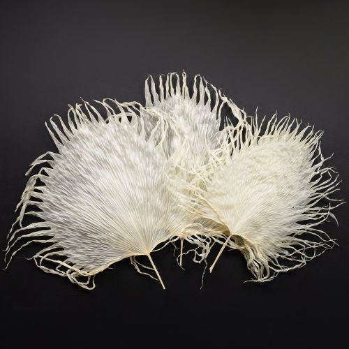 gjenstander Palmeblader tørkede dekorative blader bleket 45 cm 5 stk