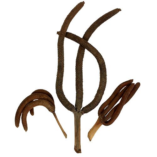 Palmekongler 3-fold naturdekor 10 stk