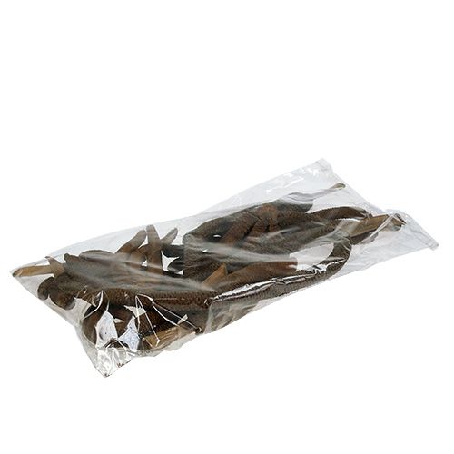 Floristik24 Palmekongler 3-fold naturdekor 10 stk