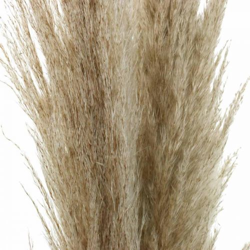 Pampas gress naturlig tørt gress deco tørr bukett 1m 3stk