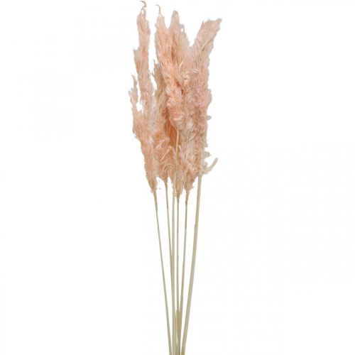 gjenstander Tørket pampas gress rosa tørkede blomster naturlig dekorasjon 65-75cm 6stk