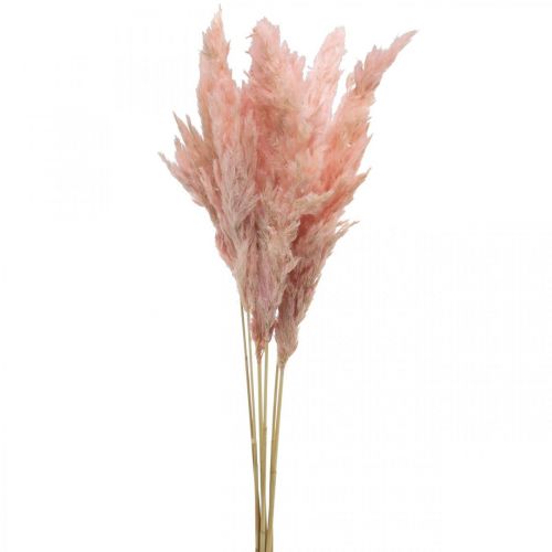 gjenstander Pampagress tørket rosa tørr blomsterdekor 65-75cm 6stk i haug