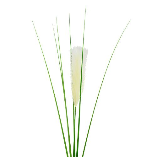 Floristik24 Pampas gressblader kremgrønn H100cm