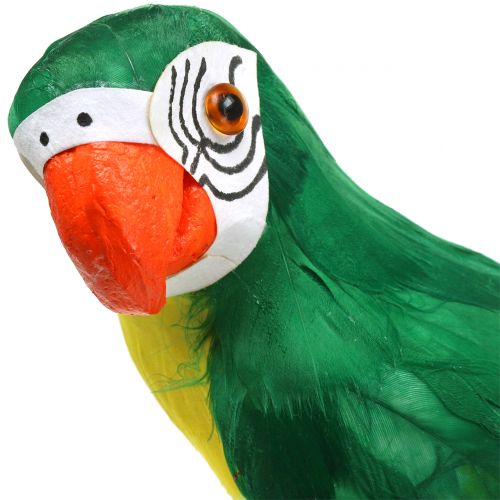 gjenstander Dekorativ papegøyegrønn 44cm