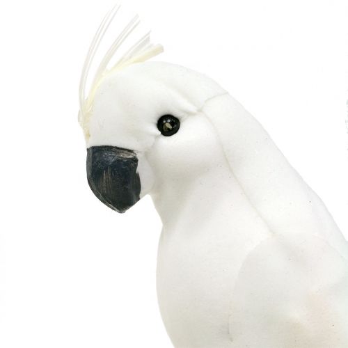 gjenstander Papegøyer med fjær hvit Kunstig kakadue dekorativ fugl 4stk