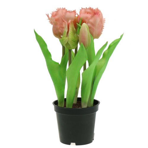 Floristik24 Papegøyetulipan Real-Touch i en gryte rosa 23cm