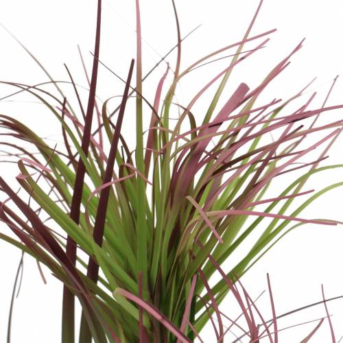 gjenstander Sedge gress i en potte kunstig grønn, rød lilla 45cm