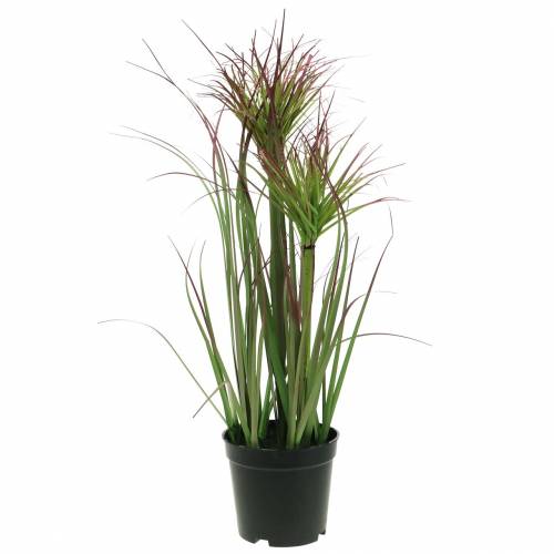 Sedge gress i en potte kunstig grønn, rød lilla 45cm