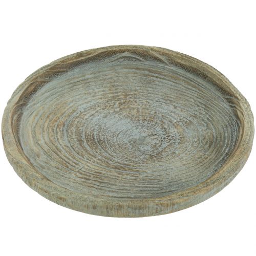 Floristik24 Dekorativ plate Paulownia tre Ø26cm