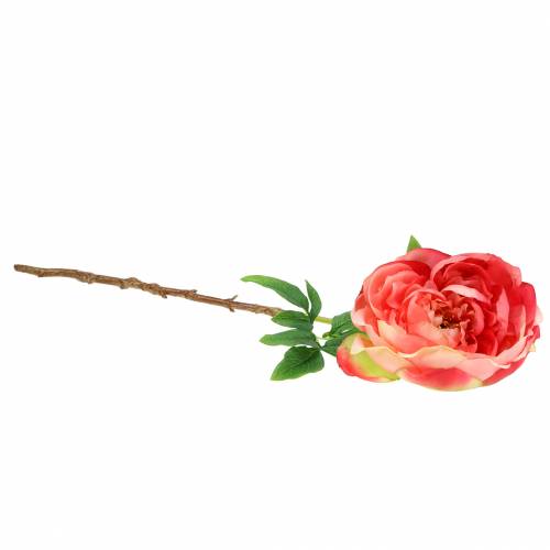 Floristik24 Peonrosa 59cm