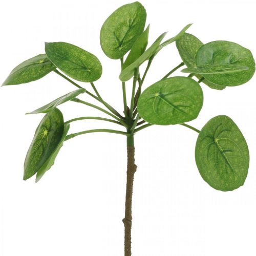 Floristik24 Peperomia Kunstig grønn plante med blader 30cm