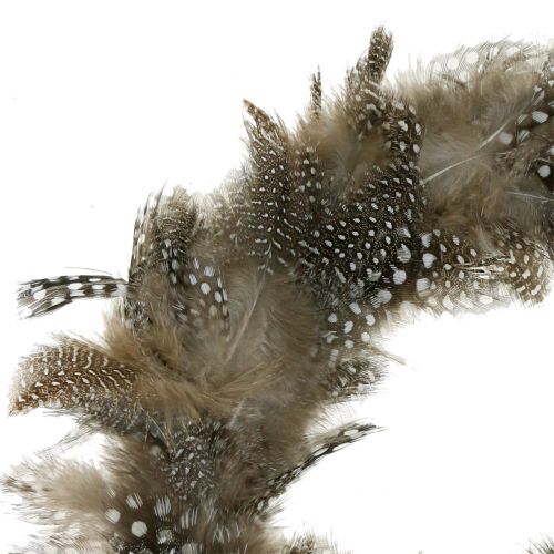 Floristik24 Fjærkrans perlehøne Ø16cm