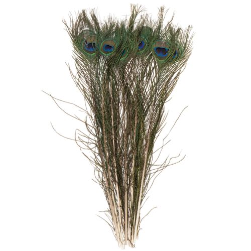 gjenstander Påfuglfjær, ekte fuglefjær til håndverk og dekorasjon, 55 cm, 10 stk.