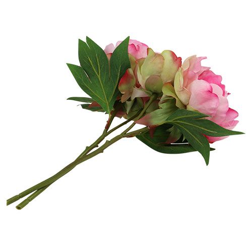 Floristik24 Peoner med knopp rosa L30cm 2stk