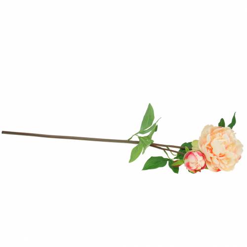 Floristik24 Peon med blomst og knopp kunstig fersken 70cm