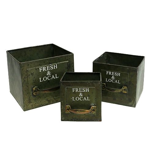 Floristik24 Planteskuffesett med 3 antikke grønne